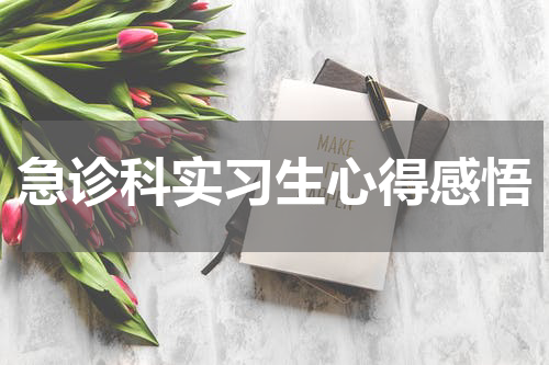 急诊科实习生心得感悟