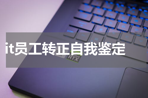 it员工转正自我鉴定