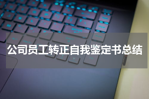 公司员工转正自我鉴定书总结