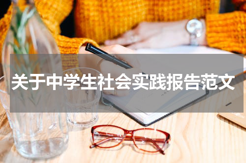 关于中学生社会实践报告范文