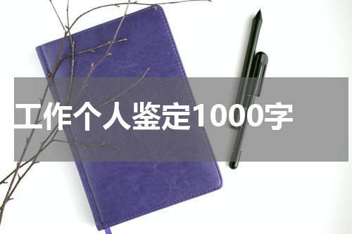 工作个人鉴定1000字