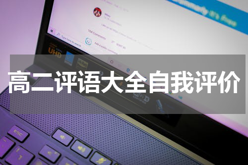 高二评语大全自我评价