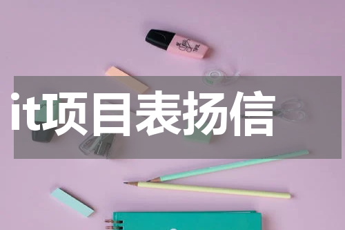 it项目表扬信