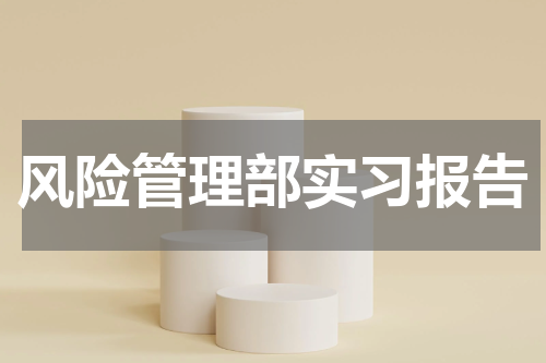 风险管理部实习报告