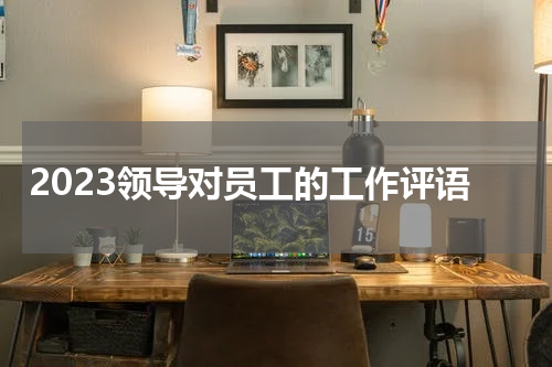 2023领导对员工的工作评语