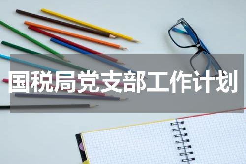 国税局党支部工作计划