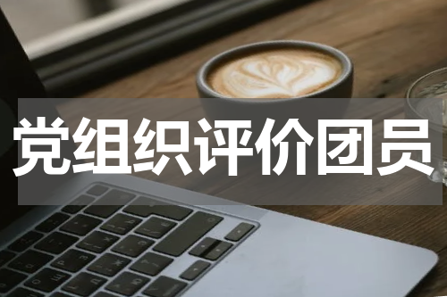 党组织评价团员
