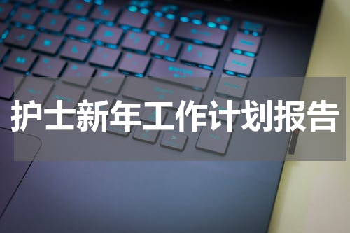 护士新年工作计划报告