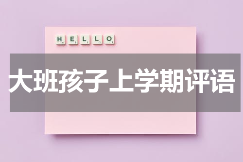 大班孩子上学期评语