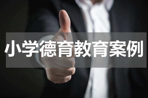 小学德育教育案例