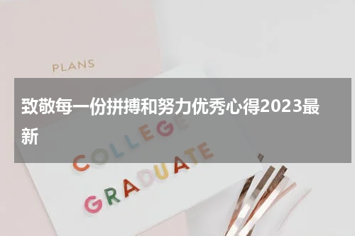 致敬每一份拼搏和努力优秀心得2023最新