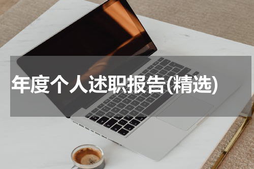 年度个人述职报告(精选)