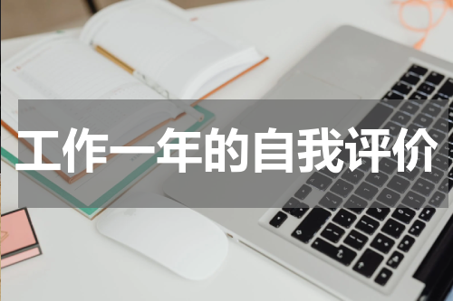 工作一年的自我评价