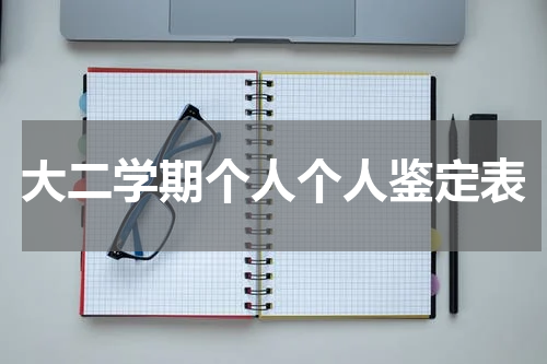 大二学期个人个人鉴定表