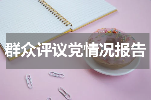 群众评议党情况报告