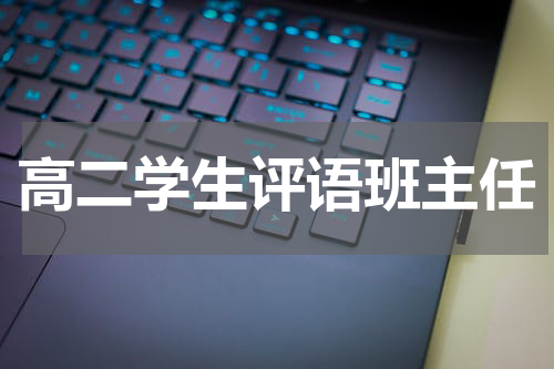 高二学生评语班主任