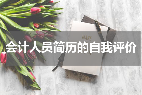会计人员简历的自我评价