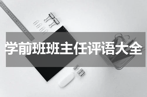学前班班主任评语大全