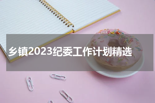 乡镇2023纪委工作计划精选