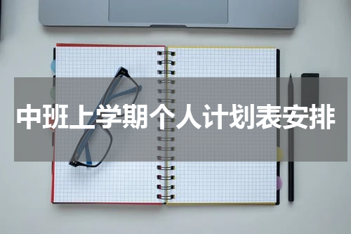 中班上学期个人计划表安排