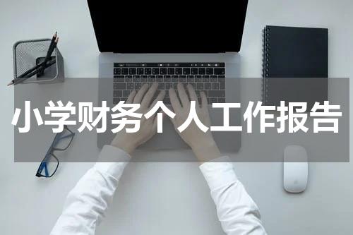小学财务个人工作报告