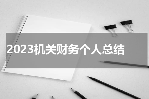 2023机关财务个人总结