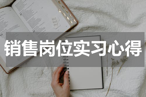 销售岗位实习心得