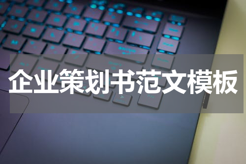企业策划书范文模板