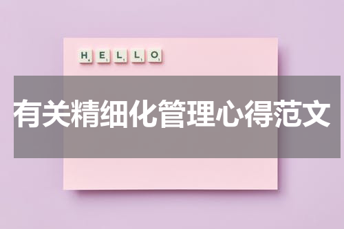 有关精细化管理心得范文
