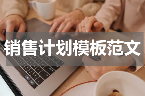 销售计划模板范文