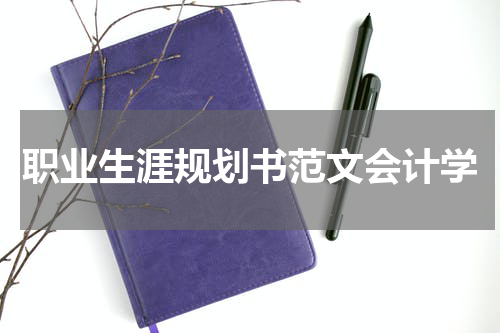 职业生涯规划书范文会计学