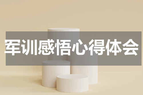 军训感悟心得体会