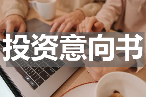 投资意向书