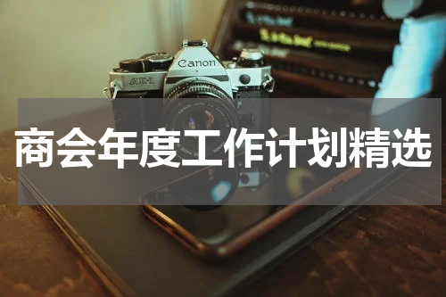商会年度工作计划精选