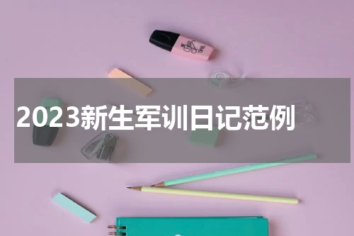 2023新生军训日记范例