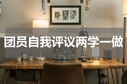 团员自我评议两学一做