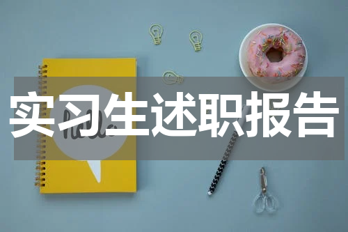 实习生述职报告