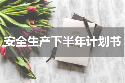 安全生产下半年计划书
