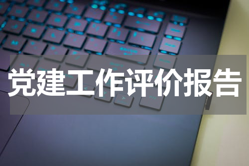 党建工作评价报告