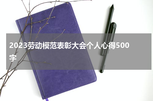 2023劳动模范表彰大会个人心得500字