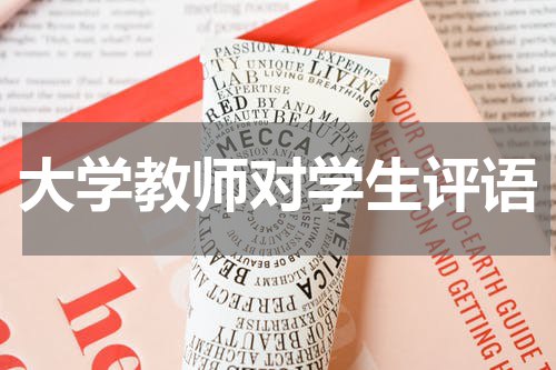 大学教师对学生评语