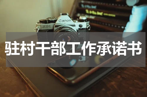 驻村干部工作承诺书