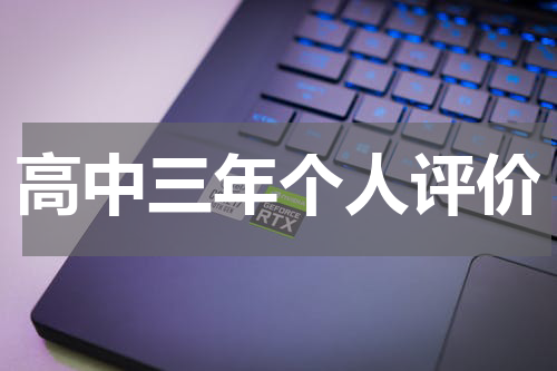 高中三年个人评价