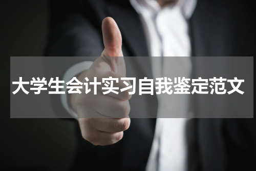 大学生会计实习自我鉴定范文