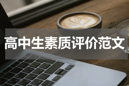 高中生素质评价范文