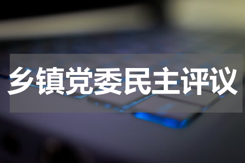 乡镇党委民主评议