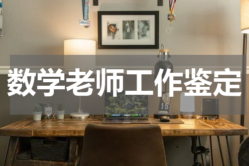 数学老师工作鉴定