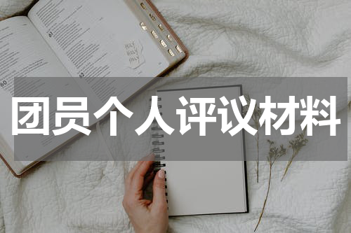 团员个人评议材料