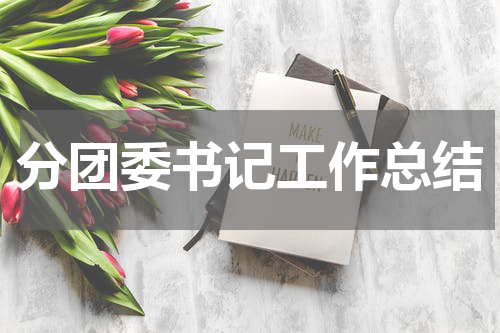 分团委书记工作总结