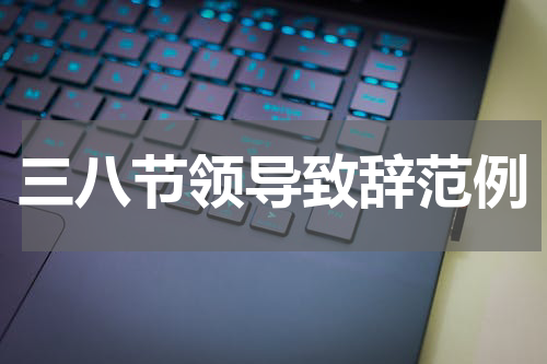 三八节领导致辞范例